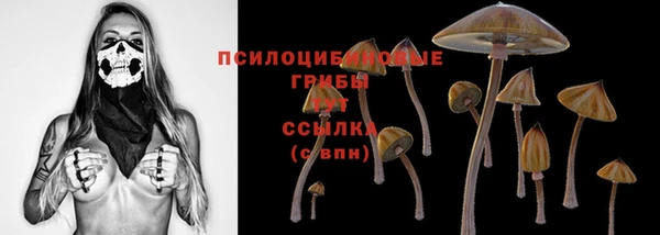 спайс Богородицк