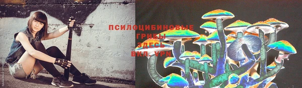 твердый Богородск
