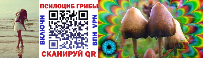 Галлюциногенные грибы GOLDEN TEACHER Плёс